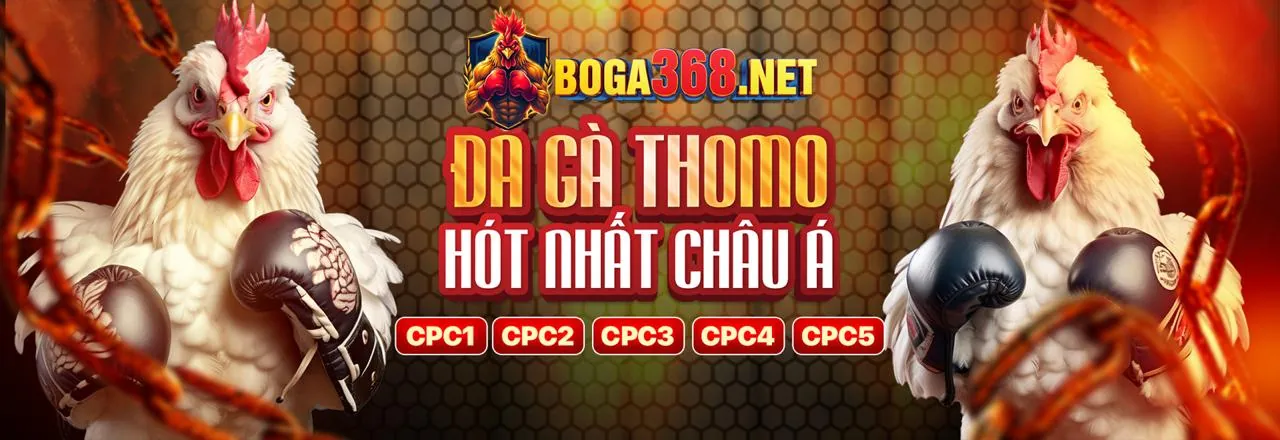 Sân đấu đá gà kịch tính tại ip88 link mới